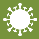 COVID Drug Interactions