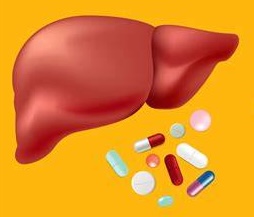 LiverTox